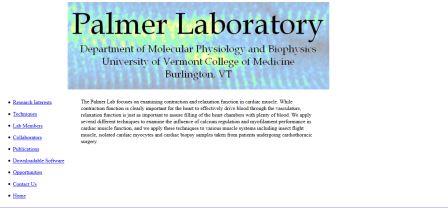 Screen shot of Palmer Lab Site